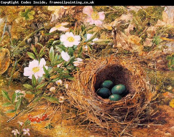 Hill, John William Bird's Nest and Dogroses